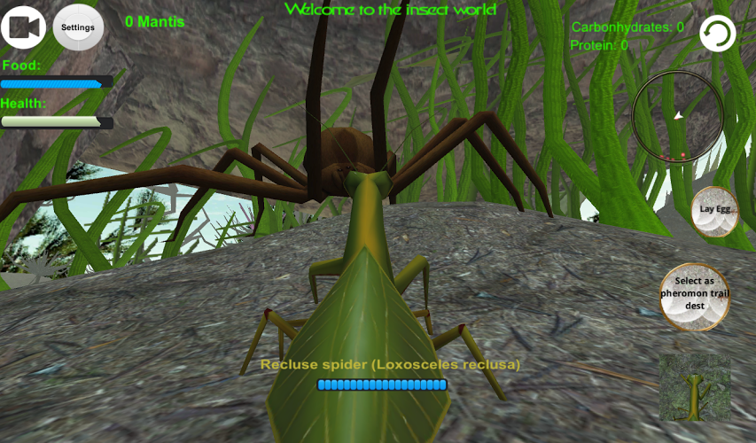 Praying Mantis Simulator 3D截图1