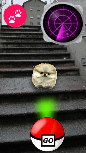 Pocket Puppy GO截图3