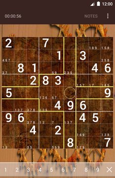Sudoku截图