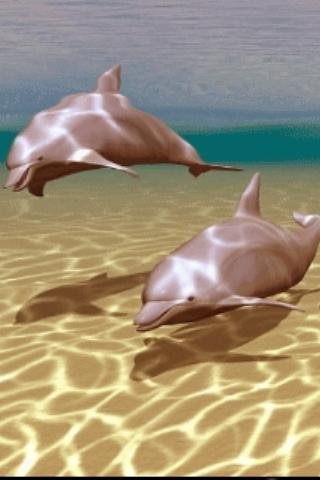 Dolphins Under Sea Live Wallpa截图2