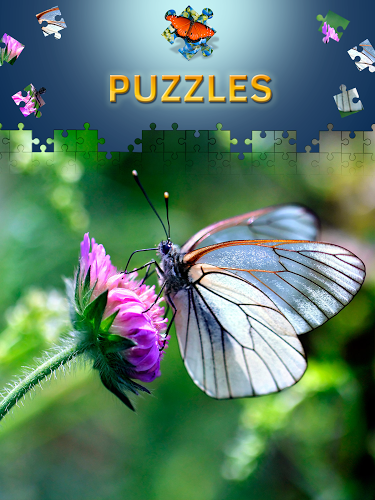 Butterfly Jigsaw Puzzles free截图1