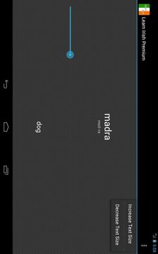 Learn Irish Lite {demo}截图