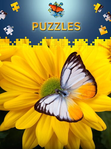 Butterfly Jigsaw Puzzles free截图2