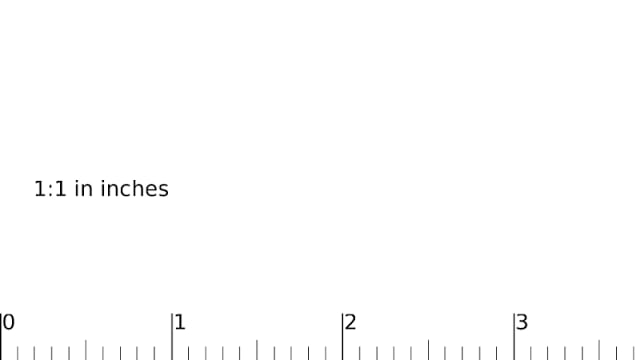 Scale Ruler截图6