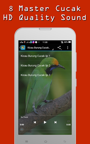 Kicau burung Cucak Rowo Mp3截图2