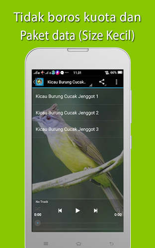 Kicau burung Cucak Rowo Mp3截图4