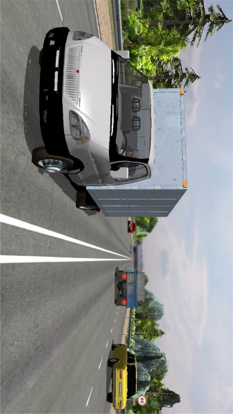 3D卡车司机专业版截图5