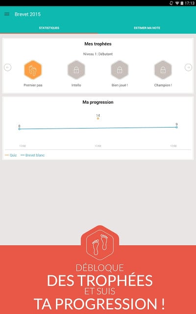 Brevet des Collèges 2013截图11