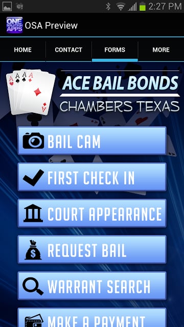 Ace Bail Bonds Chambers截图2