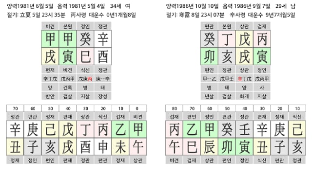 하늘도마뱀만세력截图4