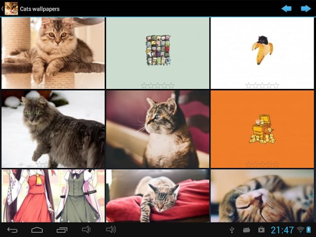 Cats wallpapers截图6