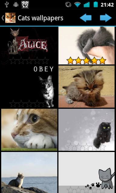 Cats wallpapers截图2