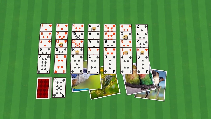 Golf Solitaire Birds截图1