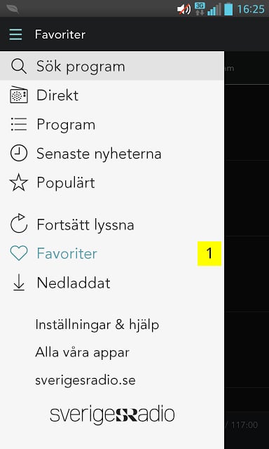 Sveriges Radio Play截图11