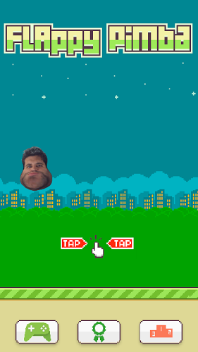 Flappy Pimba截图1