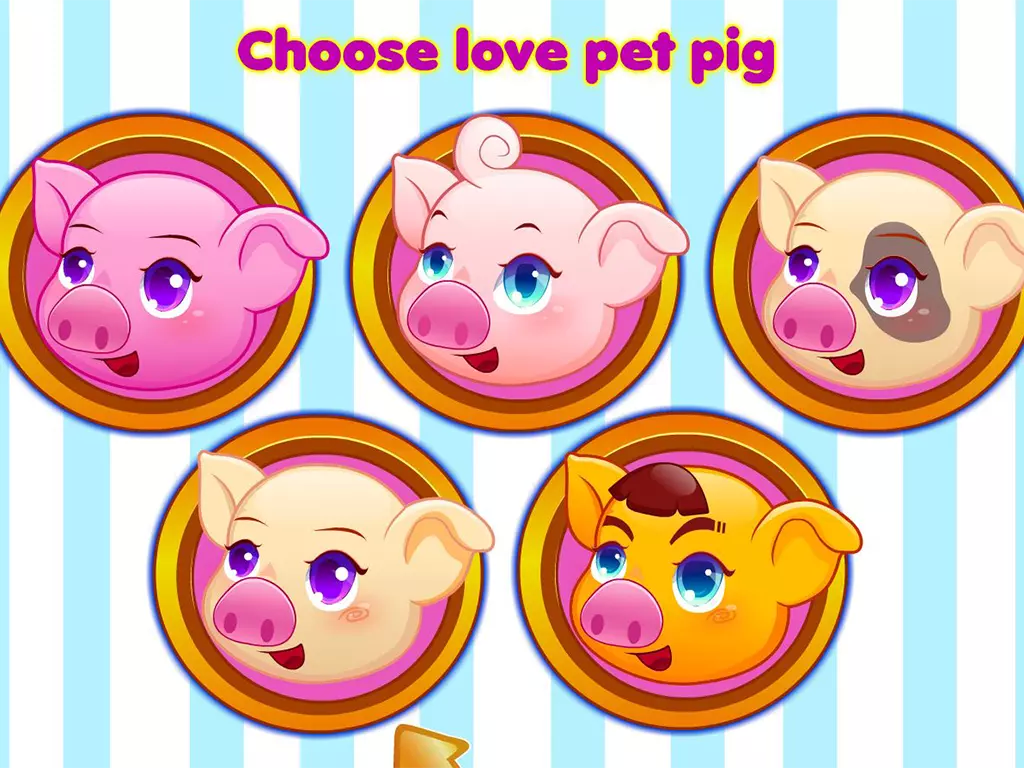 Pet piggy care截图9