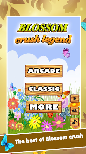 Blossom crush legend 2017截图2