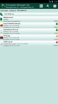 Encryption Manager Lite截图