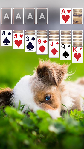 Solitaire *截图1