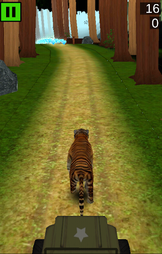 Bengal Tiger Run截图1