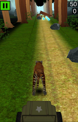 Bengal Tiger Run截图2