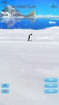 治愈的养成企鹅游戏 中文版截图