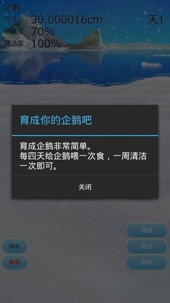 治愈的养成企鹅游戏 中文版截图3