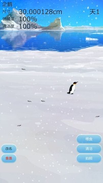 治愈的养成企鹅游戏 中文版截图