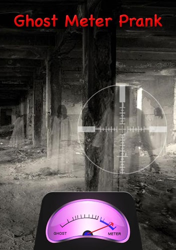 Ghost Detector Camera截图1