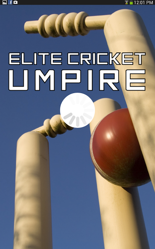 Elite Cricket Umpire截图5