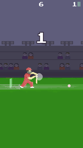 Pixel Cricket Game截图2