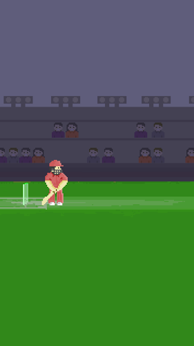 Pixel Cricket Game截图4