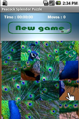 Peacock Splendor Puzzle截图1