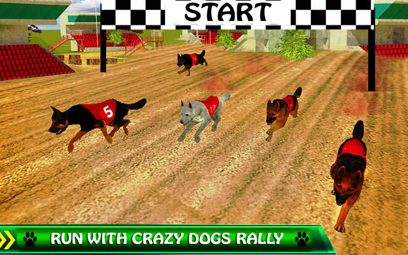 Crazy Dog Racing 3D 2017截图4