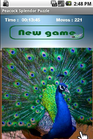 Peacock Splendor Puzzle截图2