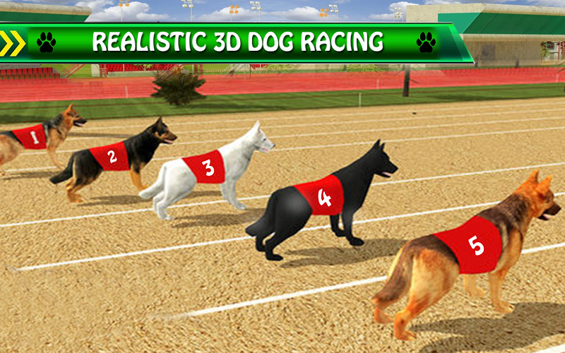 Crazy Dog Racing 3D 2017截图1