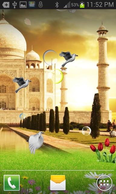 Taj Mahal Birds Live Wallpaper截图1