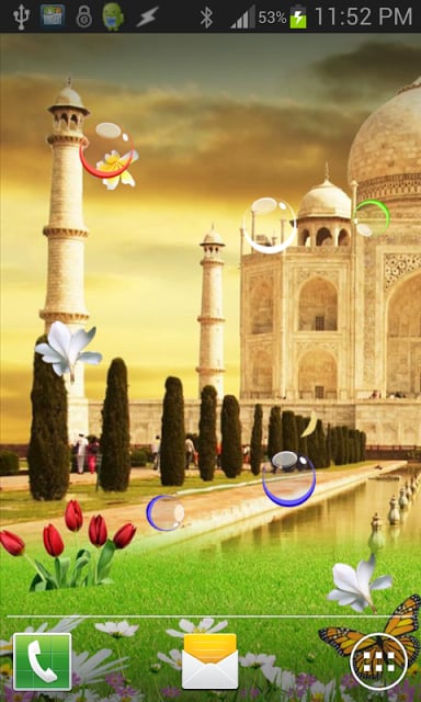 Taj Mahal Birds Live Wallpaper截图2