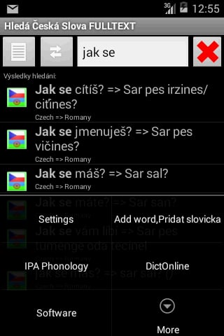 Romany Czech Dictionary截图7