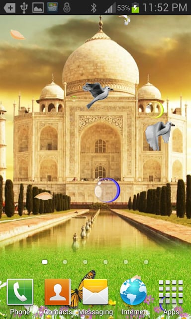 Taj Mahal Birds Live Wallpaper截图4