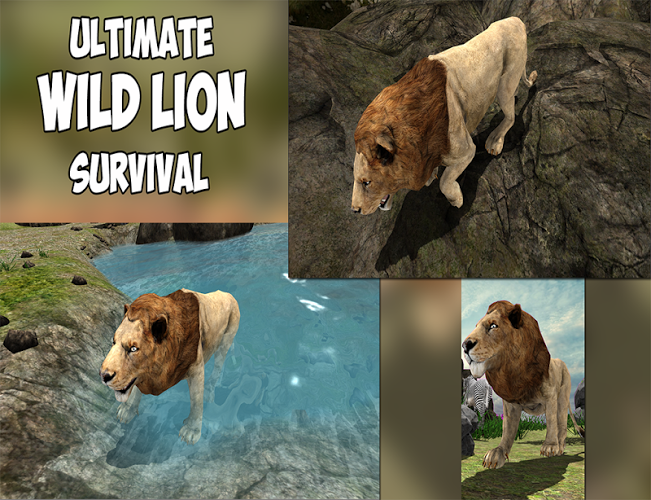 Angry Lion Jungle Survival 3D截图5