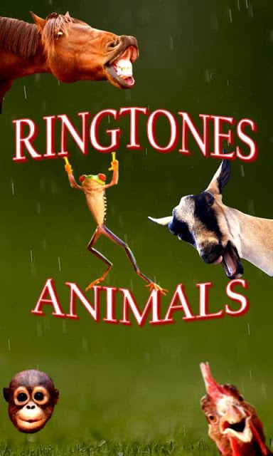 Animals Ringtones截图3