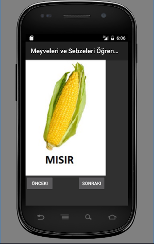 3 yaş eğitici oyun meyve sebze截图3