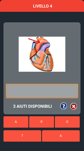 Anatomy Word Brain Quiz截图4