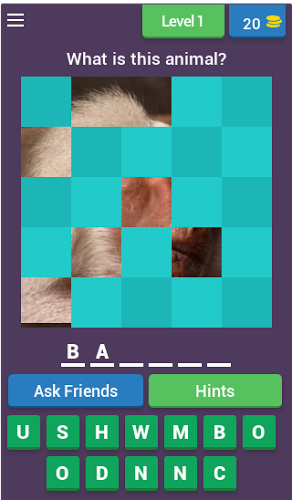 Reveal The Animal Quiz截图1