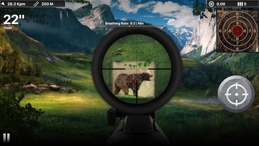 Black Bear Target Shooting截图1