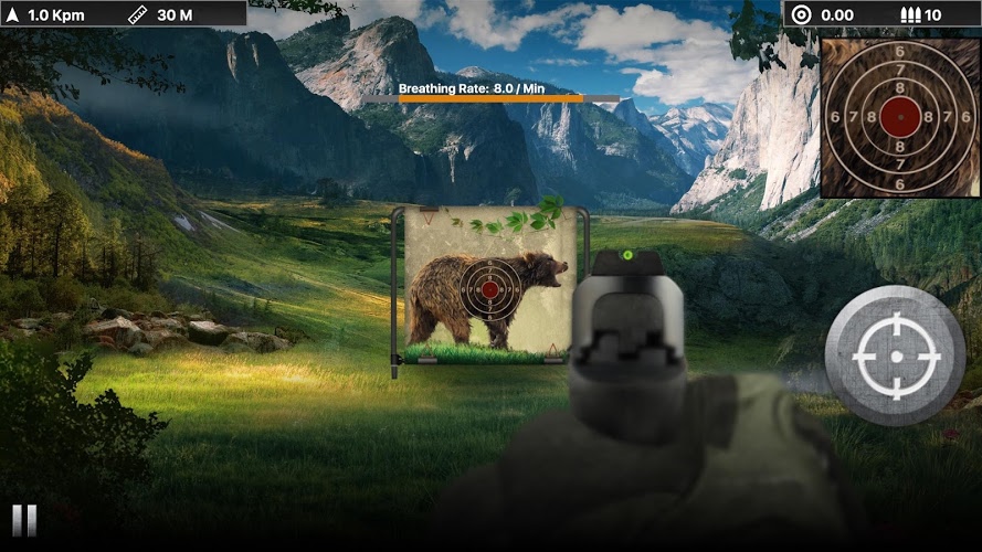 Black Bear Target Shooting截图3