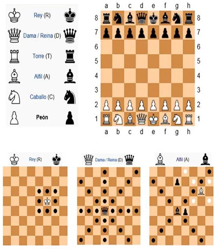 国际象棋课程截图5