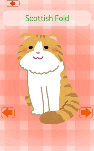 Cat Concentration (card game)截图3