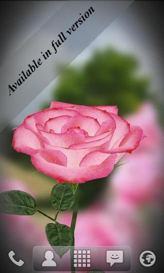 3D Rose Live Wallpaper Free截图4